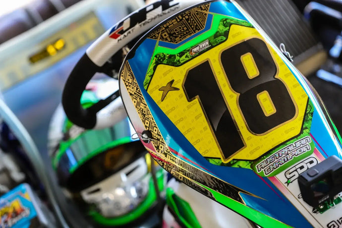 Pros and Cons of the Rotax Engine